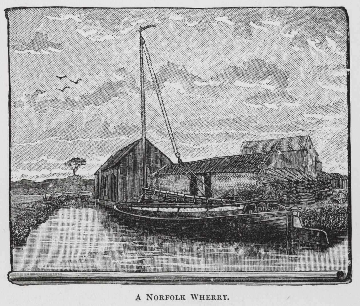 Bir Norfolk Wherry (gravür) by English School