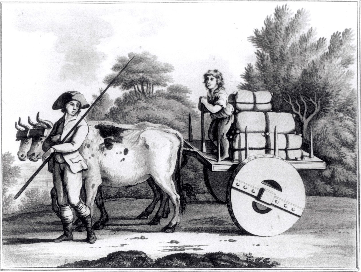 James Murphy tarafından Portekiz Devletinin Genel Görünümünden Bir Portekiz Çiftliği, 1797