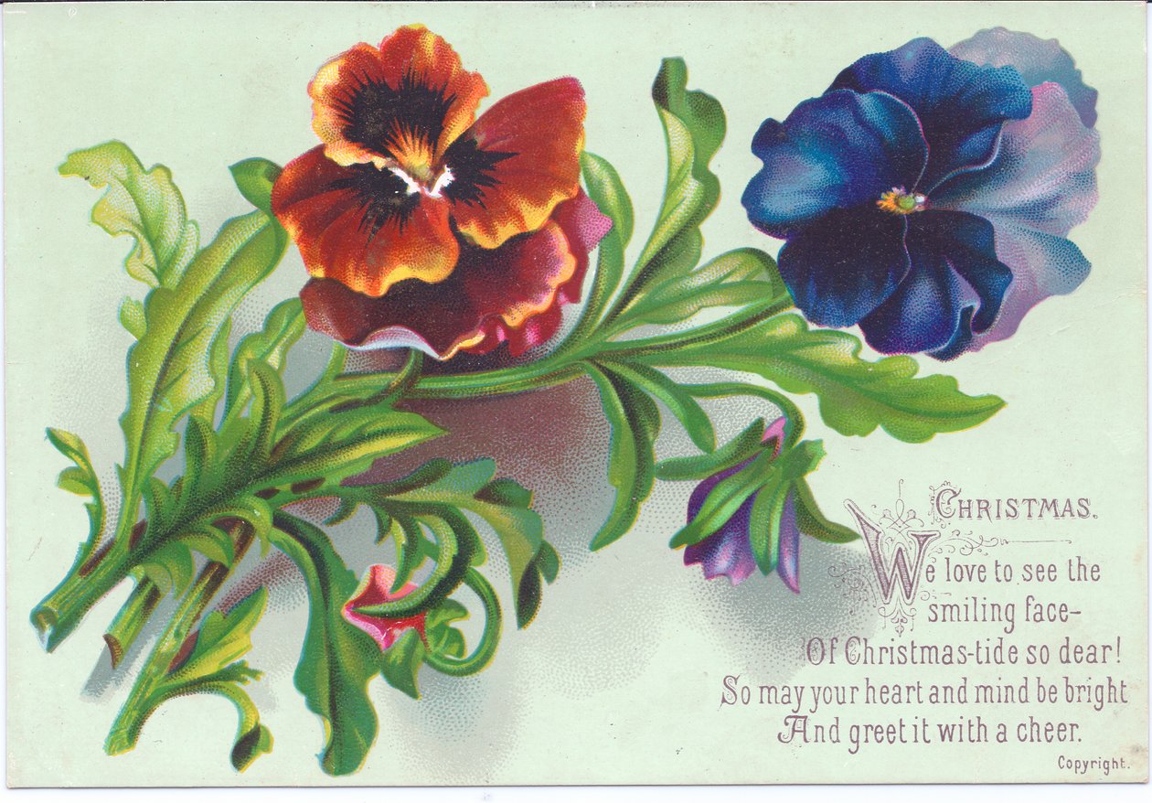 Hercai menekşe üzerine sprey püskürten Viktorya dönemine ait bir Noel kartı, 1880 dolayları by English School
