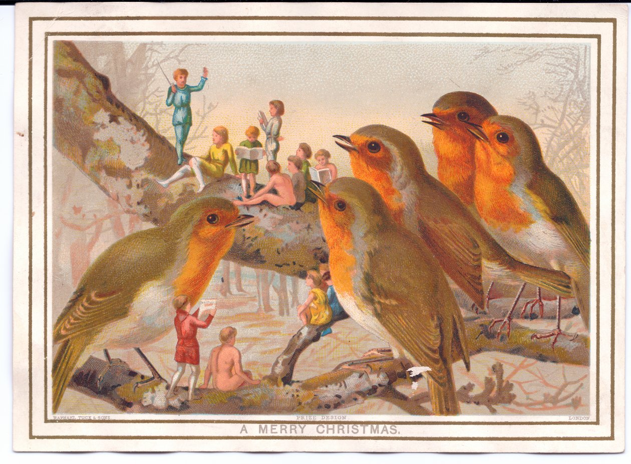 Bir peri grubunu dinleyen bir dala tünemiş beş ardıç kuşundan oluşan Viktorya dönemine ait bir Noel kartı, 1880 dolayları by English School