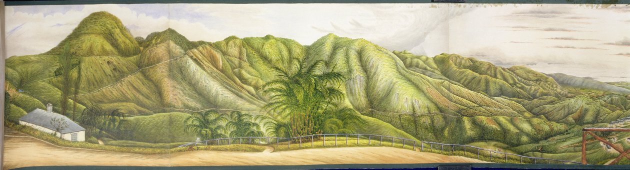 Newcastle, Blue Mountains, Jamaika