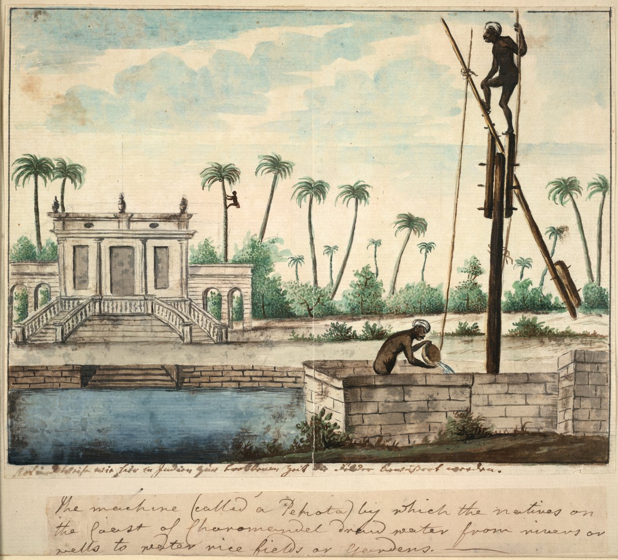 Sulamayı gösteren bir kolonyal bahçe, c.1787 (kağıt üzerine suluboya) by English School