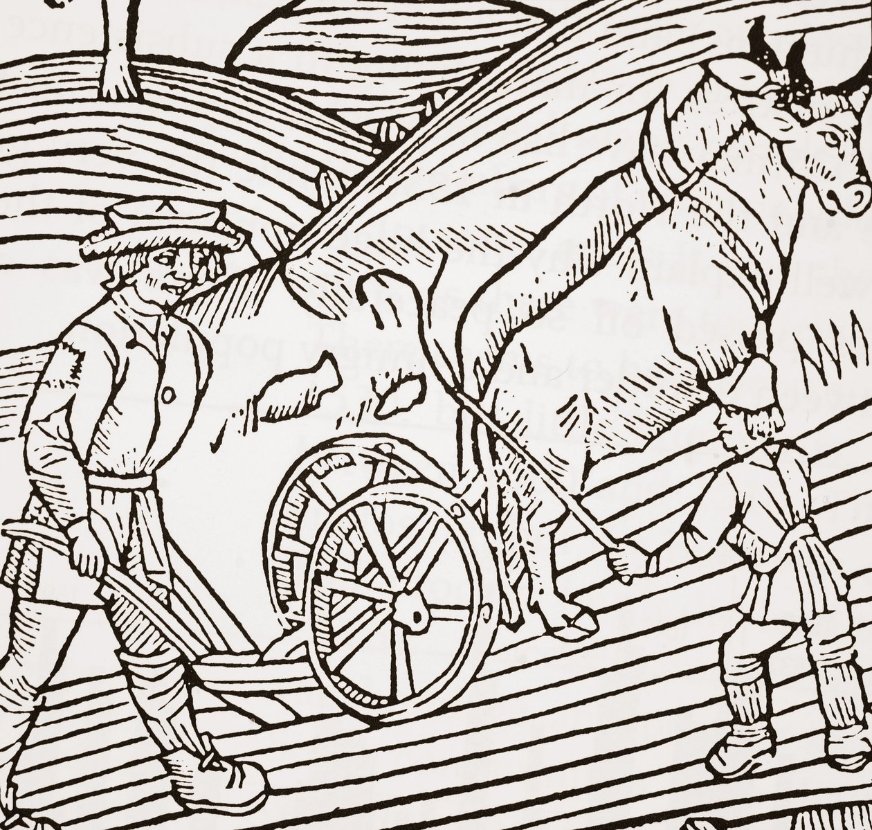 Bir sabana boyunduruk altına alınmış bir çift öküz, John Fitzherberts Boke of Husbandry