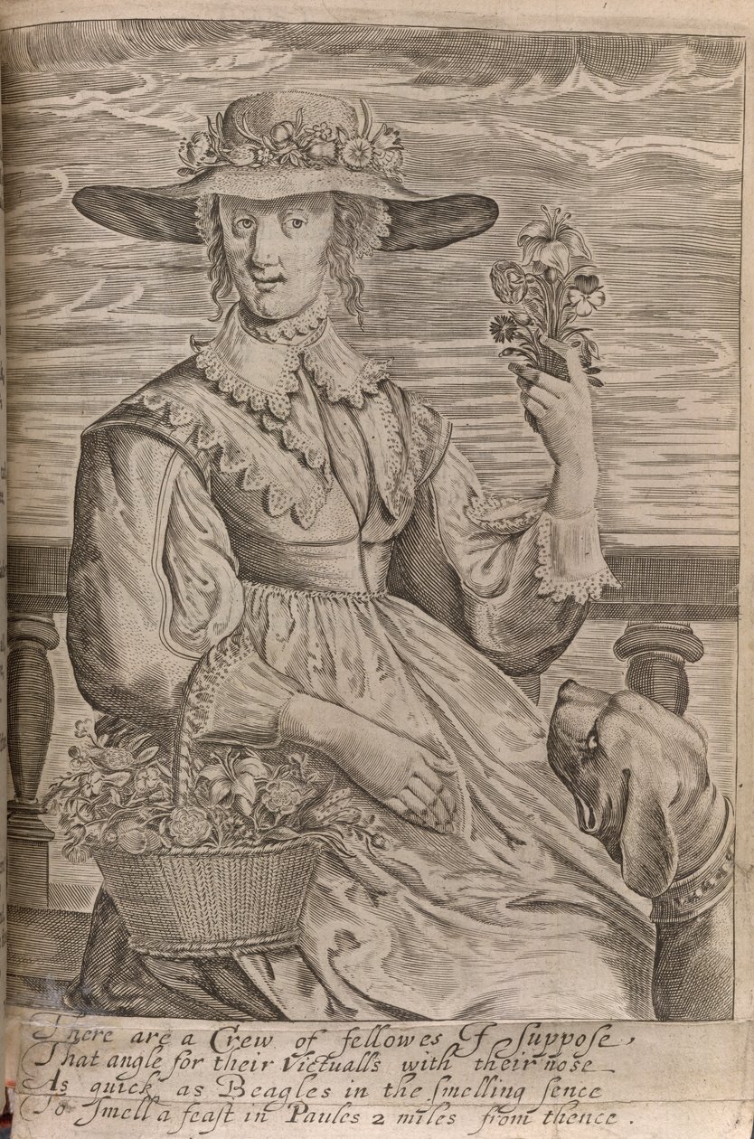 Çiçekli bir kadın, Sir John Davies