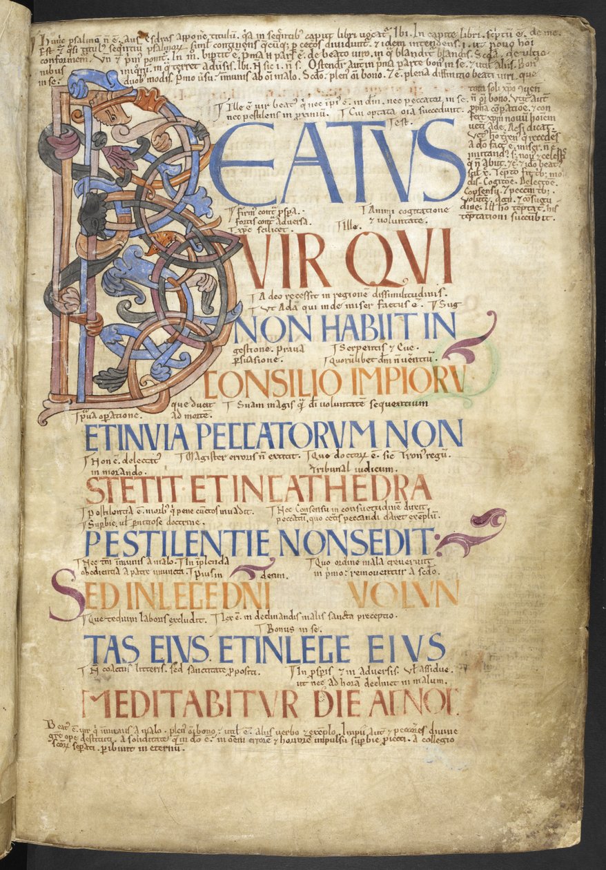 MS 37517