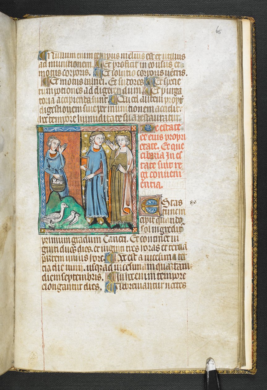 MS 47680, f.65r Aristoteles
