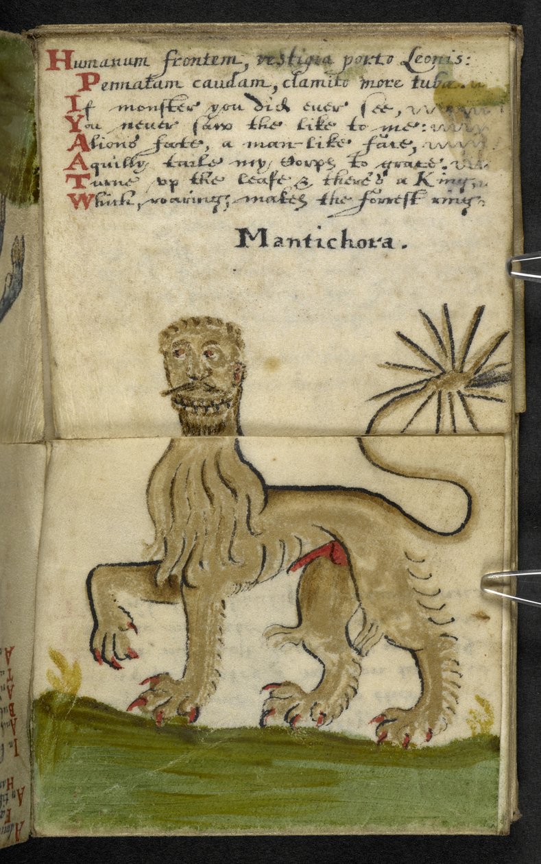 MS 57312 f.11 Oyun kitabını ekleyin (parşömen üzerine mürekkep ve renk) by English School