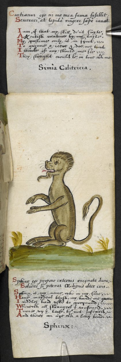 MS 57312 f.14 Oyun kitabını ekleyin (parşömen üzerine mürekkep ve renk) by English School