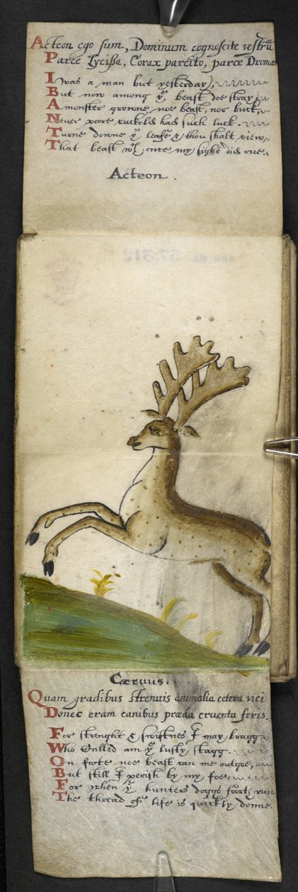 MS 57312 f.15 Oyun kitabını ekleyin (parşömen üzerine mürekkep ve renk) by English School