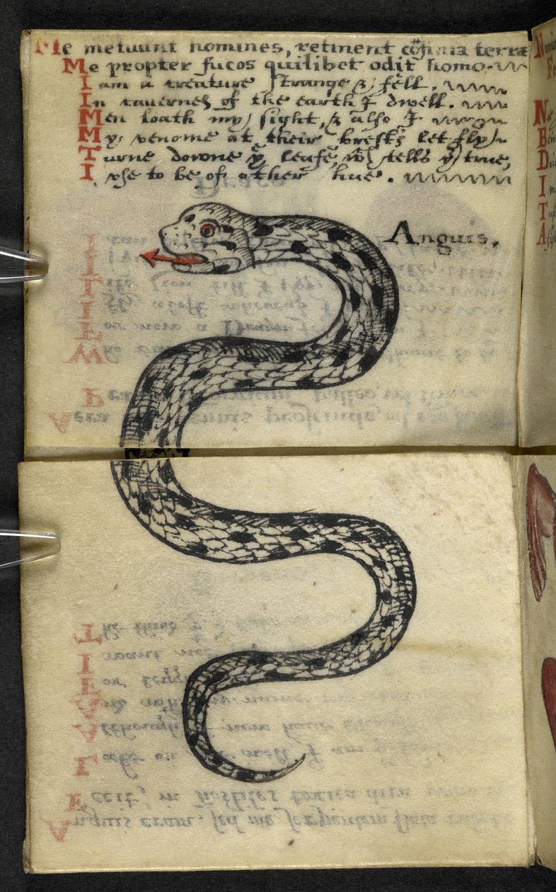 MS 57312 f.4 Oyun kitabını ekleyin (parşömen üzerine mürekkep ve renk) by English School