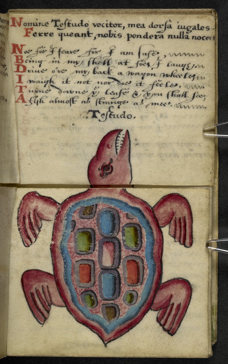 MS 57312 f.5 Oyun kitabını ekleyin (parşömen üzerine mürekkep ve renk) by English School