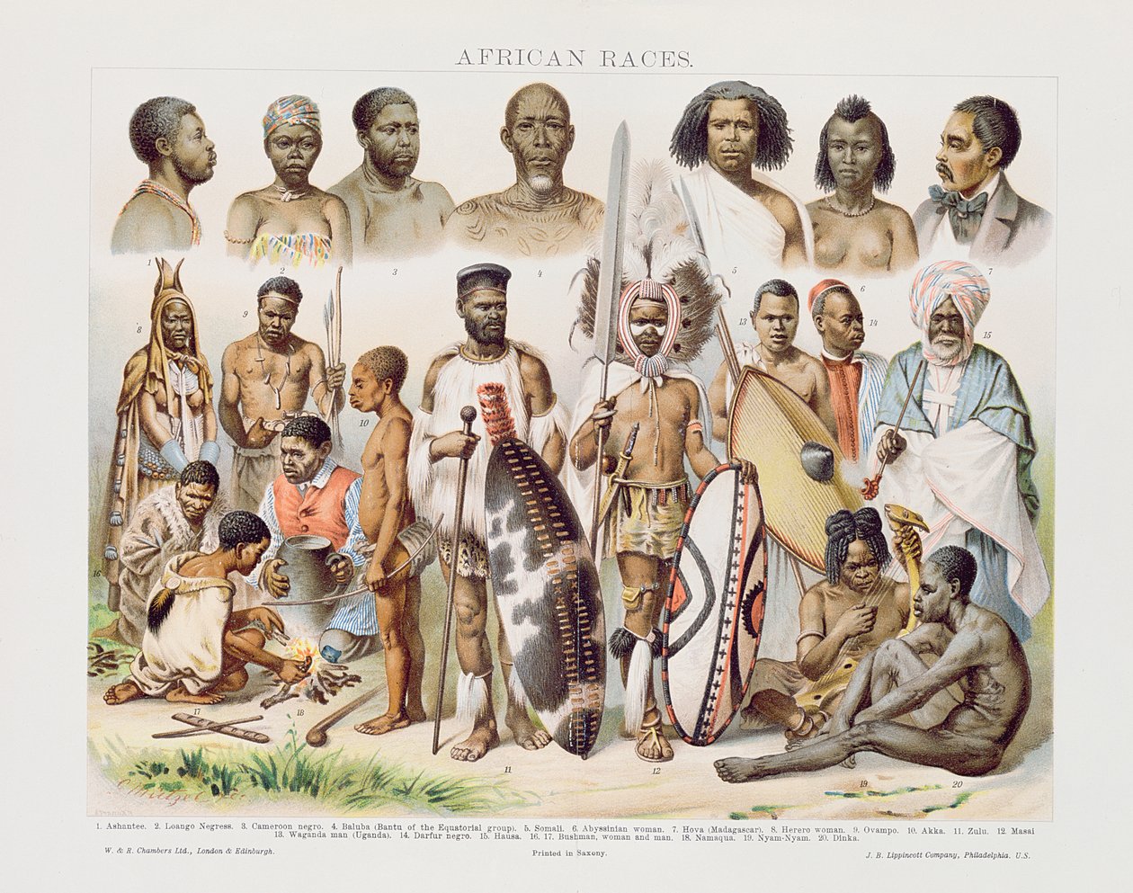 Afrika Irkları (renkli gravür) by English School