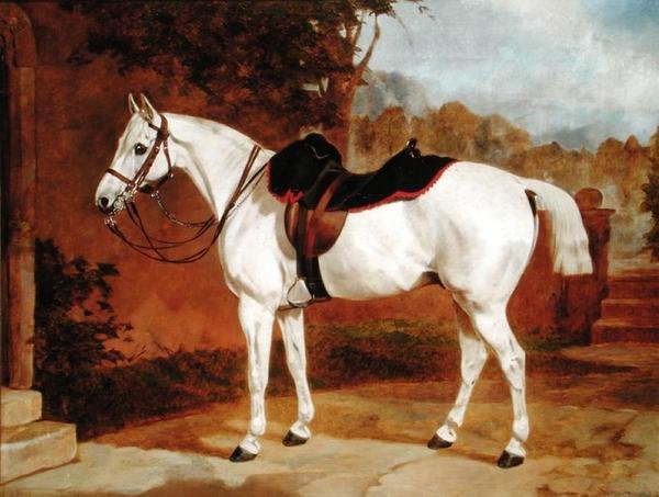 Ali, Bir At Portresi (tuval üzerine yağlı boya) by English School