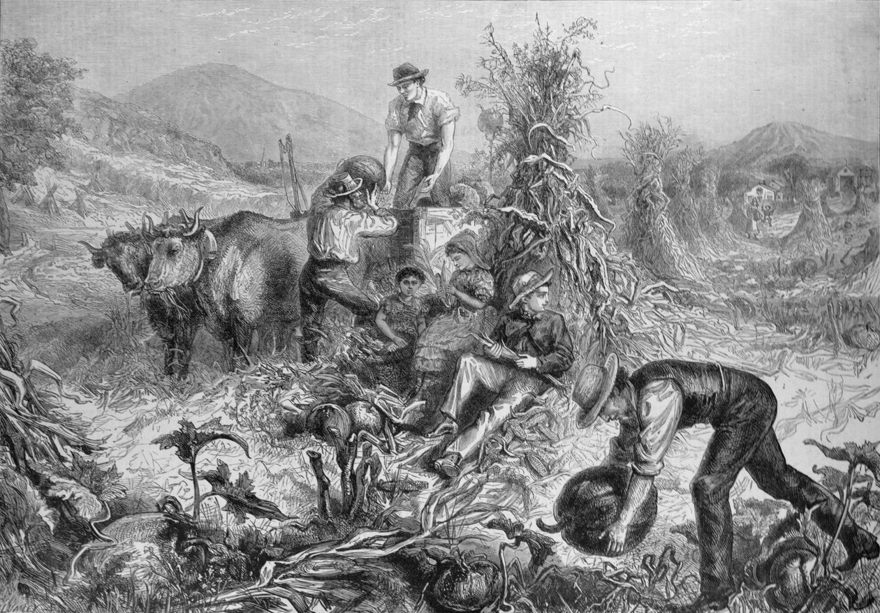 American Husbandry: The Illustrated London News