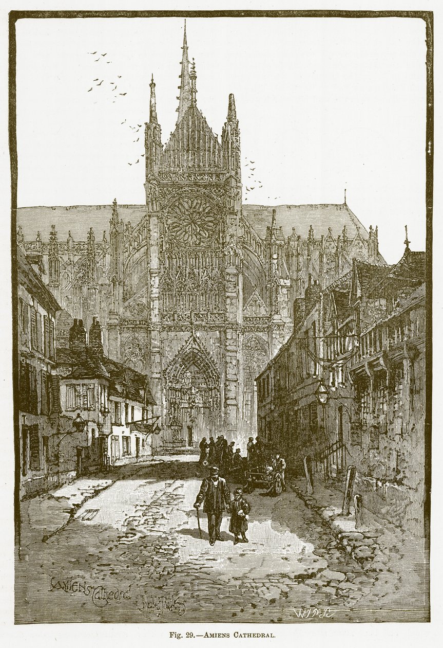 Amiens Katedrali (gravür) by English School