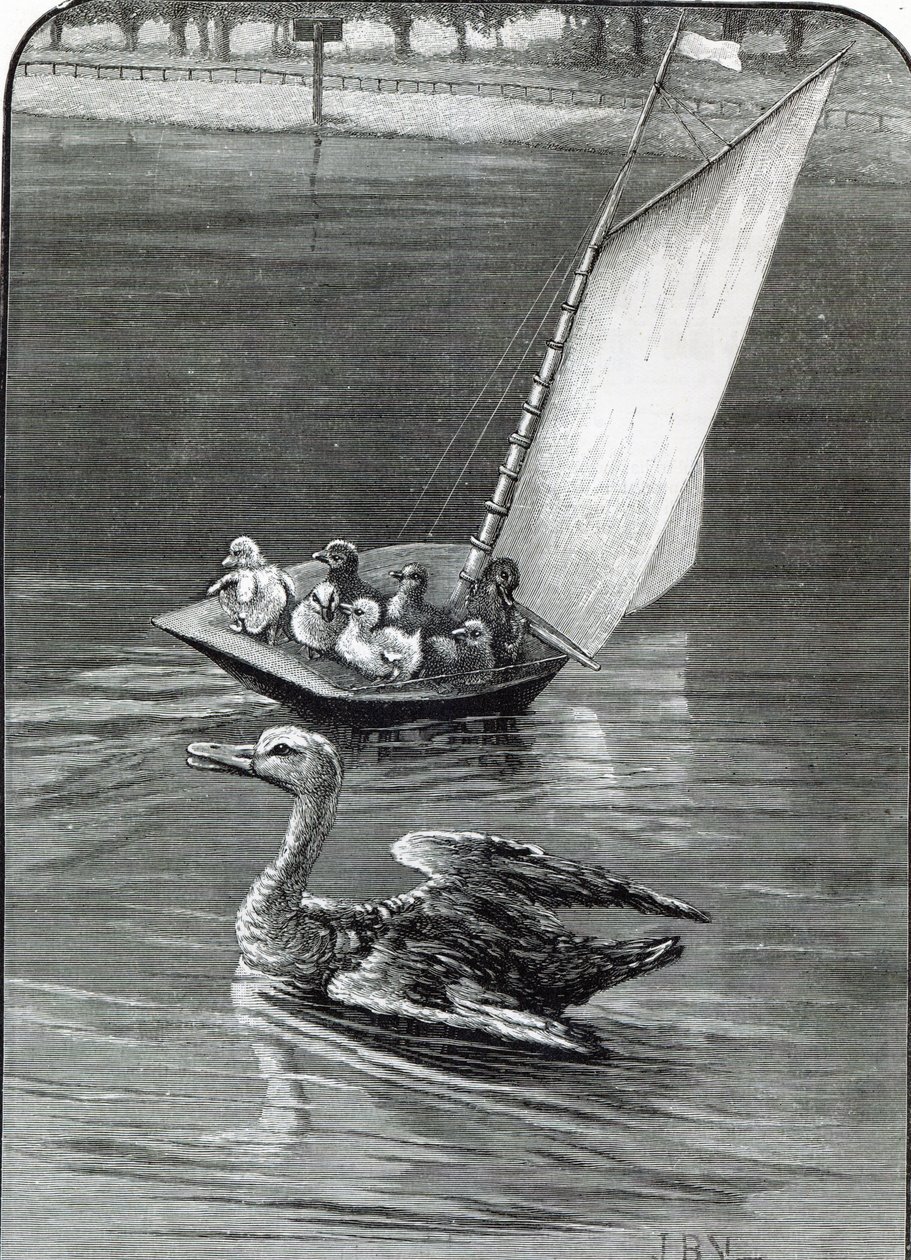 Endişeli Anne, Round Pond, Kensington
