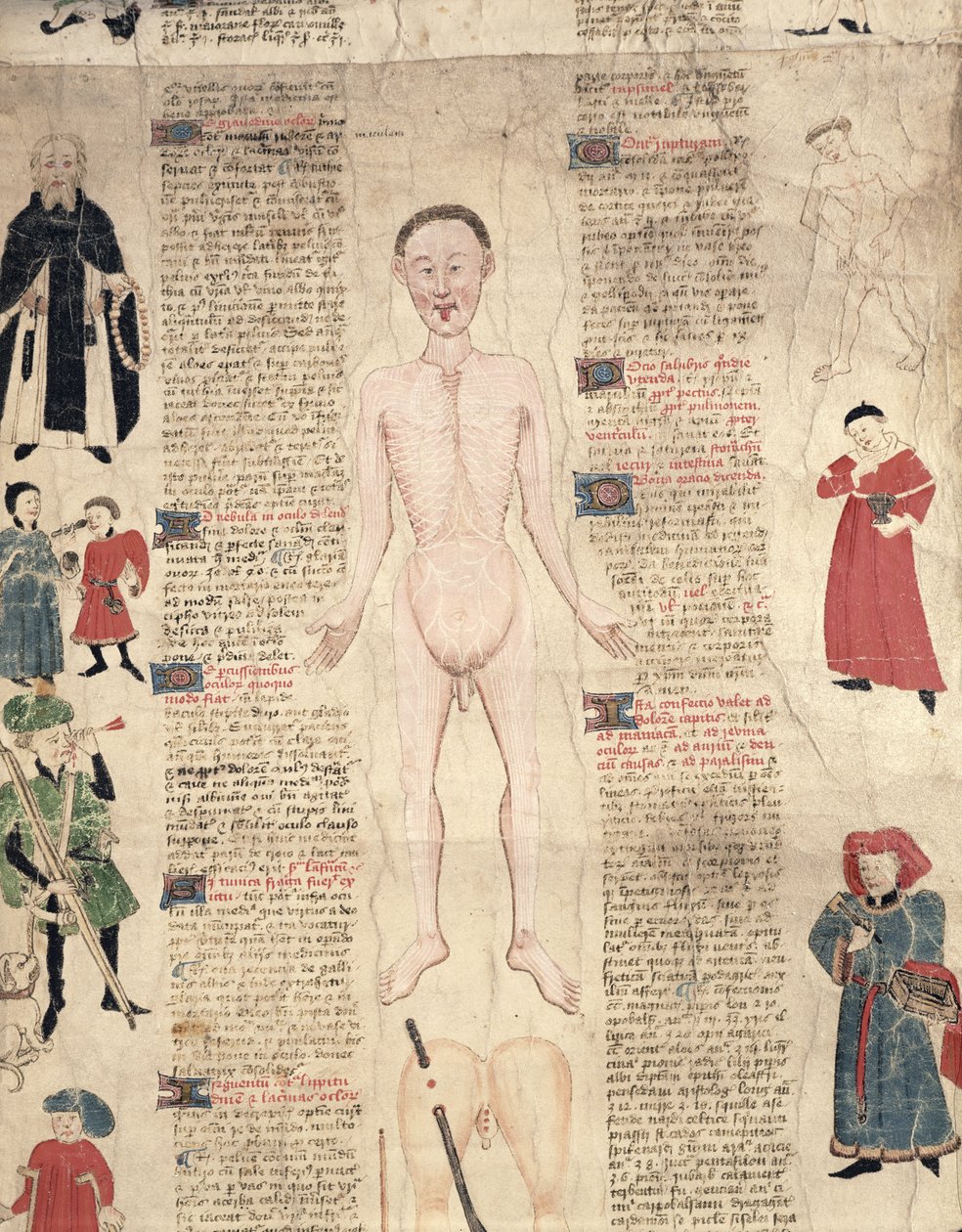 Anatomik diyagram, John Ardene tarafından De arte phisicali e de cirugia