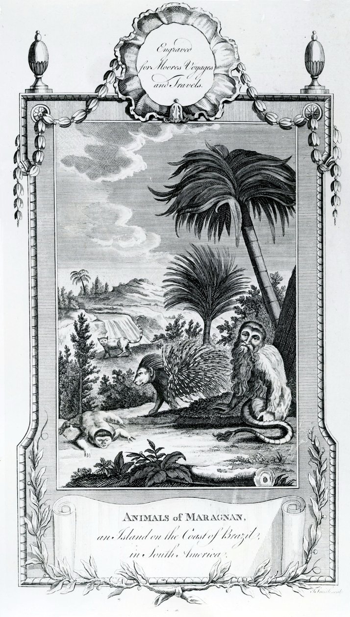 Maragnan Hayvanları, Moores Voyages and Travels, 1778