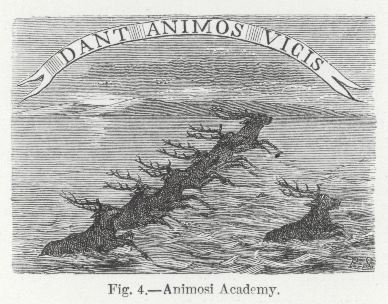 Animosi Akademisi (gravür) by English School