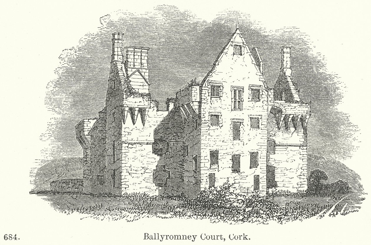Ballyromney Court, Cork (gravür) by English School