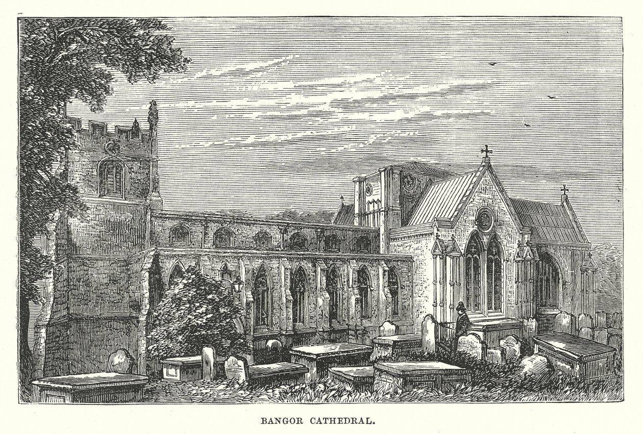 Bangor Katedrali (gravür) by English School