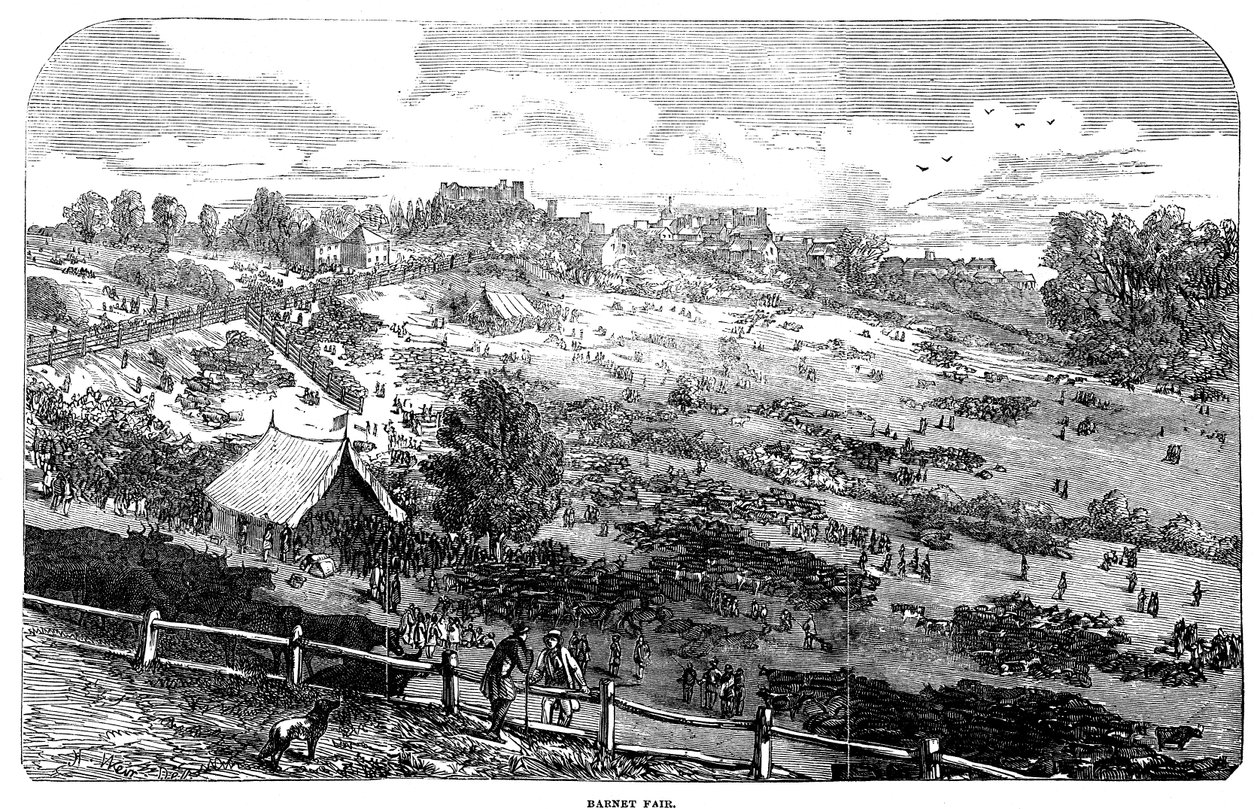 Barnet Fuarı, 1849 by English School