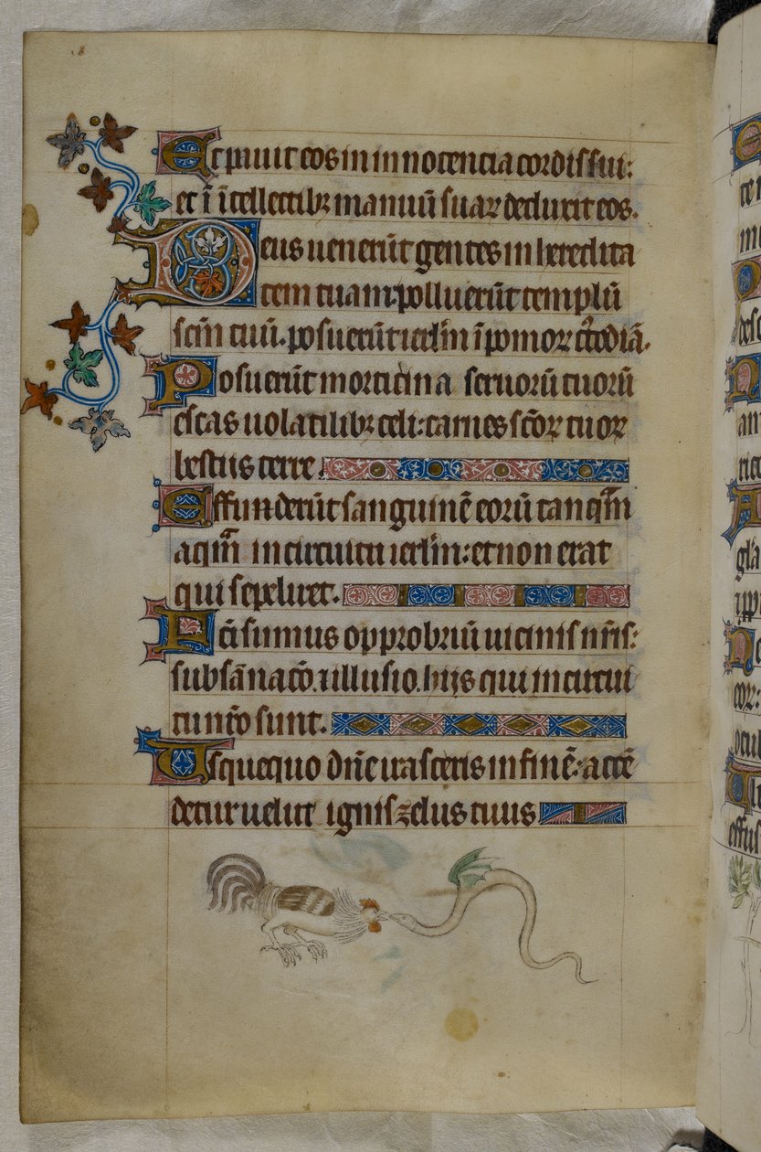 Bir Horoz ve kanatlı bir yılanın dövüştüğü alt sayfa sahnesi, süslü bir baş harfi 'D'(eus), Psalter ('The Queen Mary Psalter'), Royal MS 2 B VII, f.187v, c.1310- 20 (parşömen) by English School