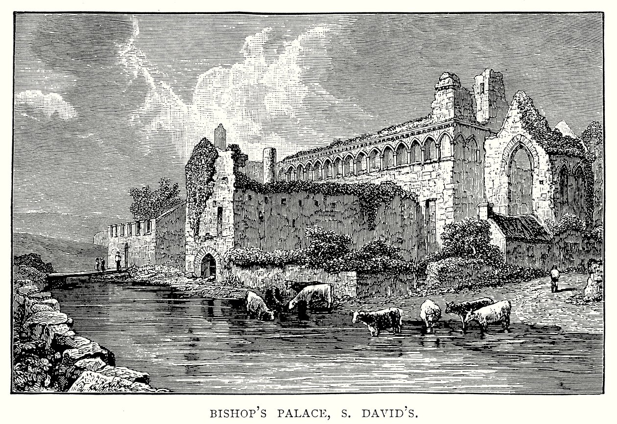 Piskopos Sarayı, S David