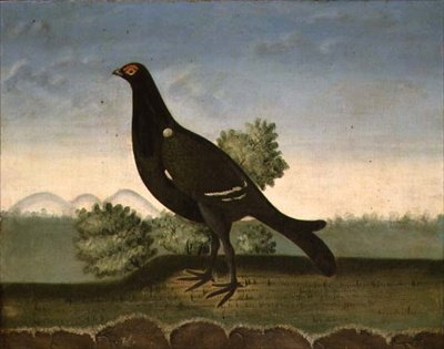 Kara Orman Tavuğu (tuval üzerine yağlı boya) by English School