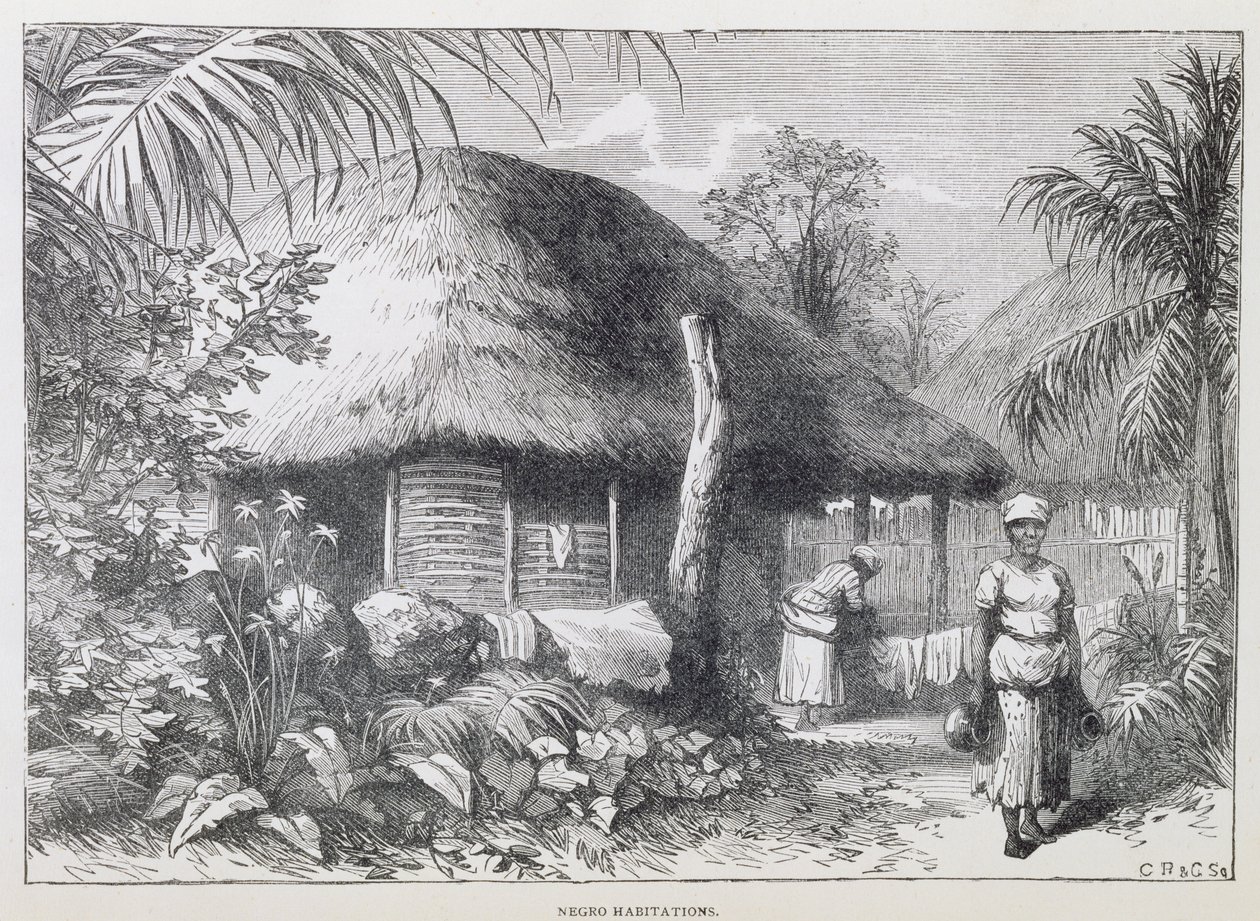 Black Habitations, Samuel Hazard'ın 'Santo Domingo Dünü ve Bugünü'nden, pub. 1873'te (gravür) by English School