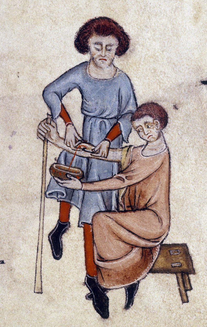 Luttrell Mezmurundan Kan Alma, c.1325-35 (parşömen) by English School