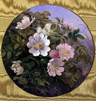 Briar Roses, c.1890 (kağıt üzerine suluboya) by English School