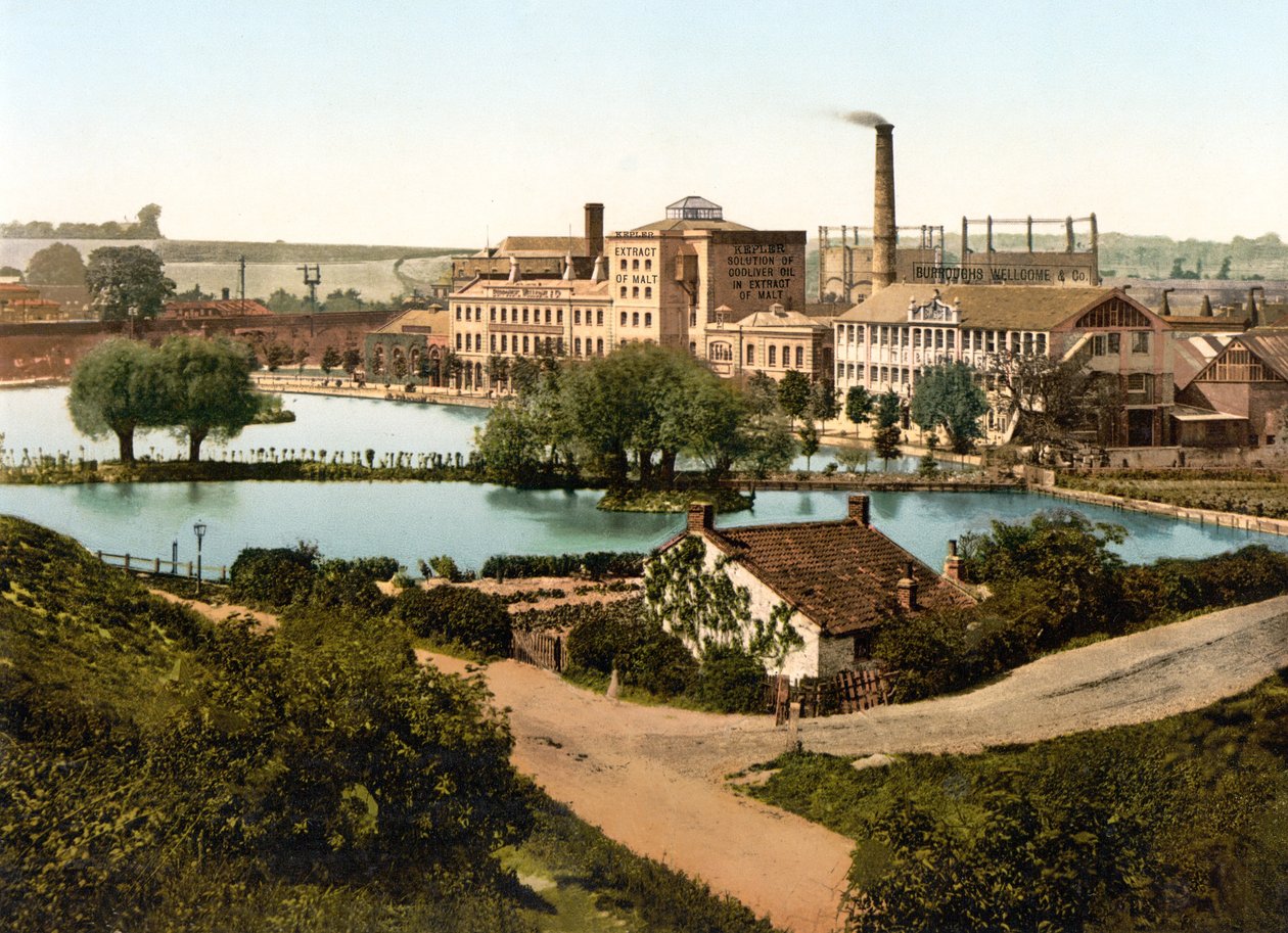 Burroughs, Wellcome & Company Factory, Dartford (el ile renklendirilmiş fotoğraf) by English School