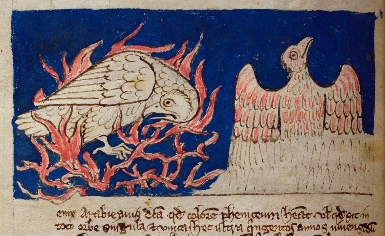 CCA-LitMs/D/10 fol. 17v Pheonix, Bestiary