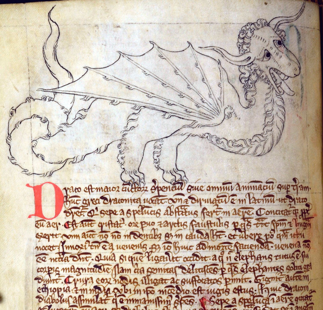 CCA-LitMs/D/10 fol. 24v Dragon, Bestiary