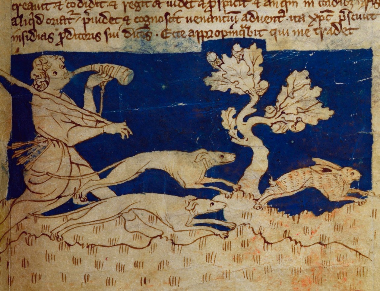 CCA-LitMs/D/10 fol. 2r Av sahnesi, Bestiary