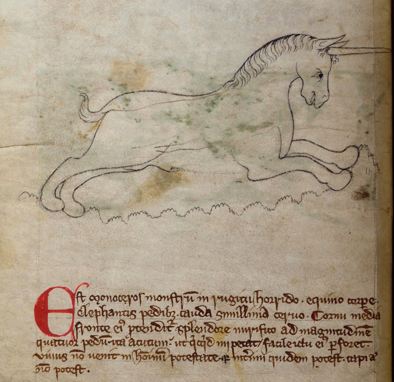 CCA-LitMs/D/10 fol. 2v Monoceros, Bestiary