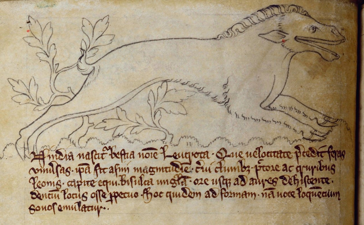 CCA-LitMs/D/10 fol. 3v Leucrota, Bestiary