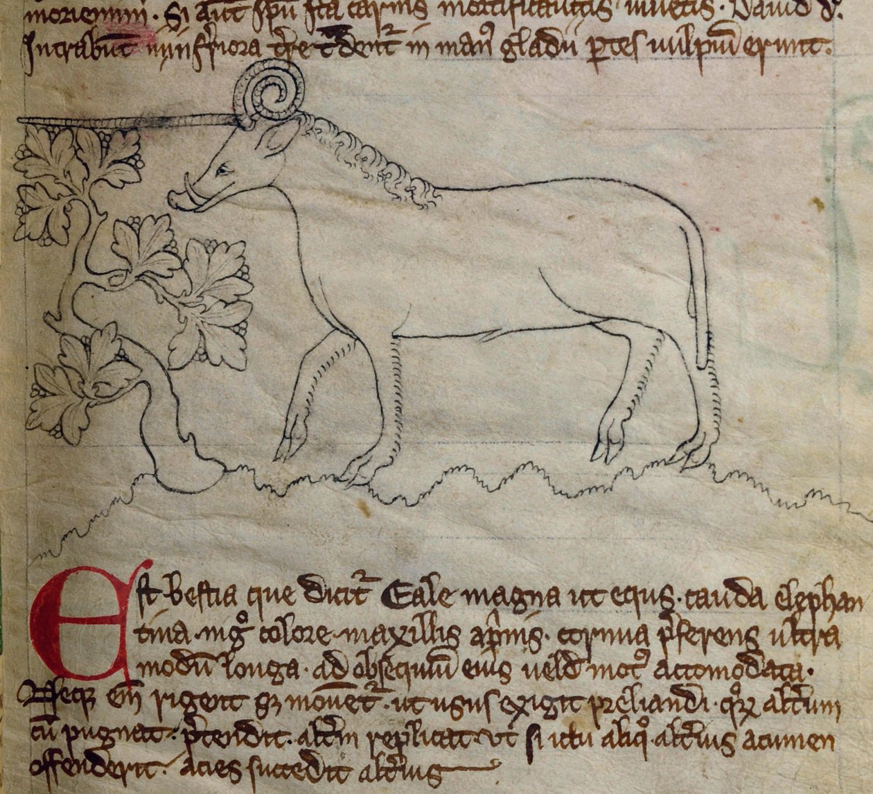 CCA-LitMs/D/10 fol. 4r Yale, Bestiary