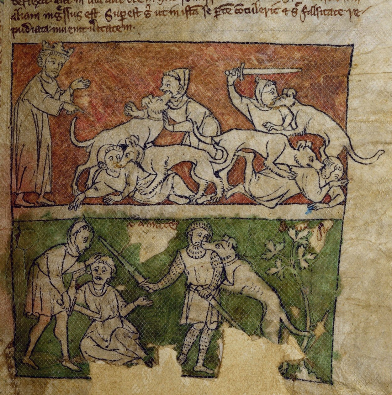 CCA-LitMs/D/10 fol. 6r Köpek, Bestiary