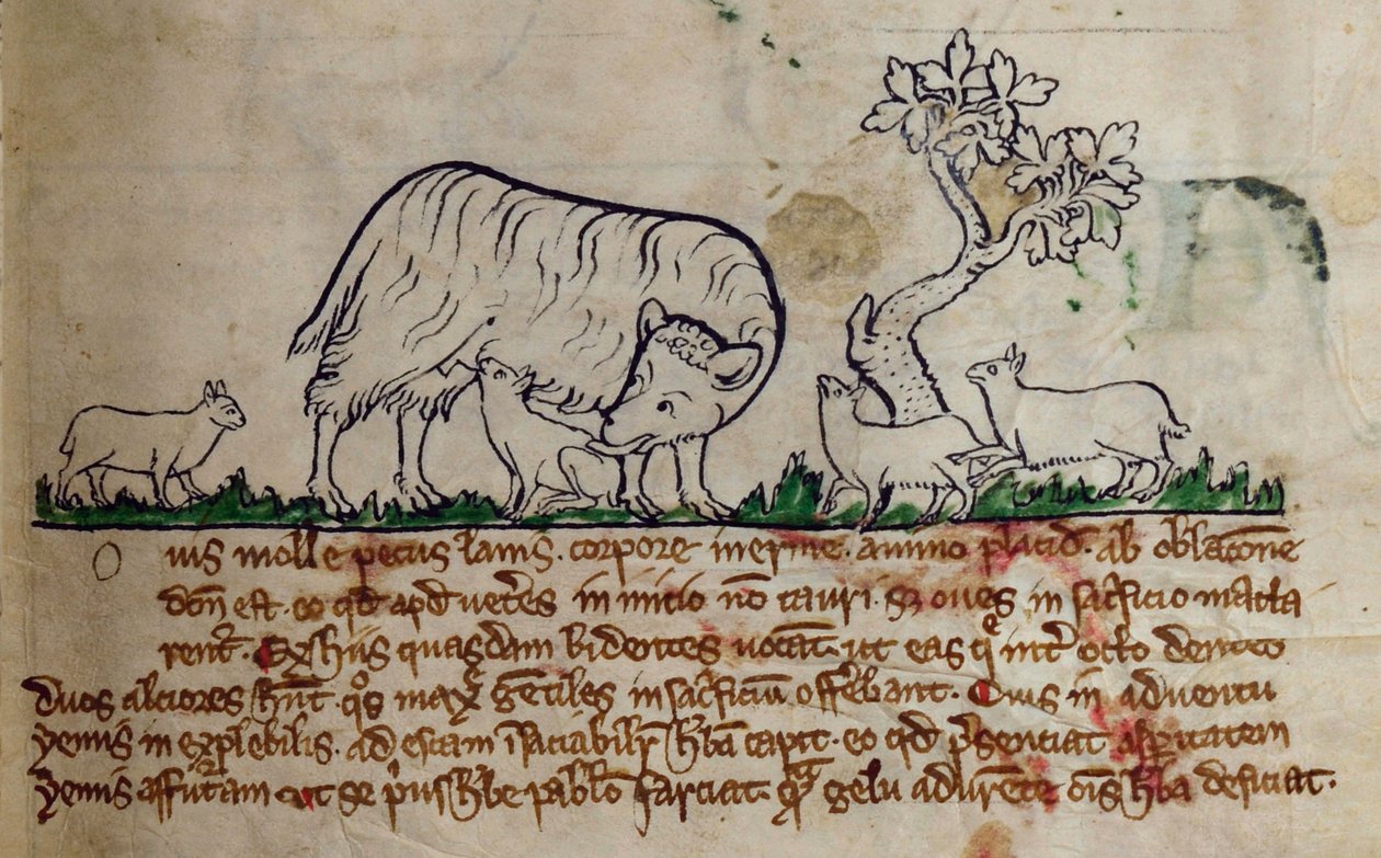 CCA-LitMs/D/10 fol. 8r Koyun, Bestiary