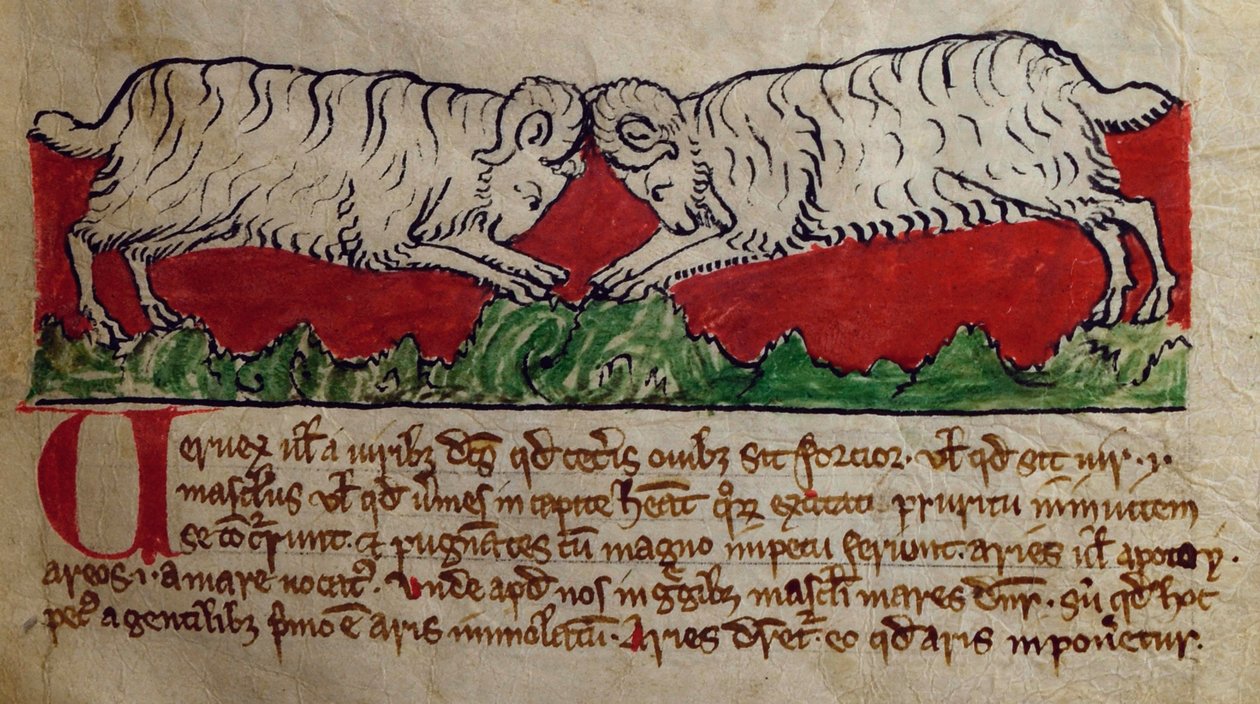 CCA-LitMs/D/10 fol. 8r Wether, Bestiary