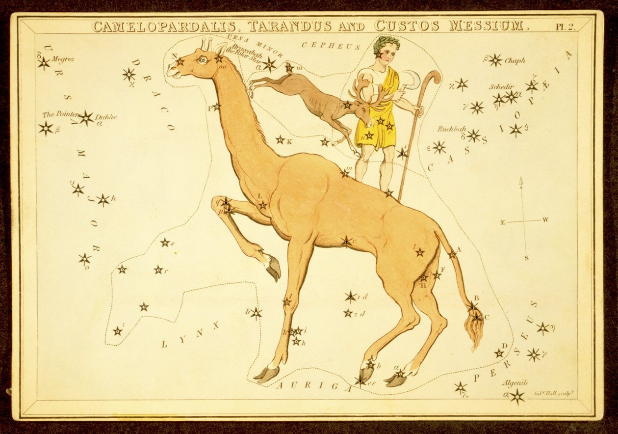 Camelopardalis, Tarandus ve Custos Messium, pub. 1825 (el renkli gravür) by English School