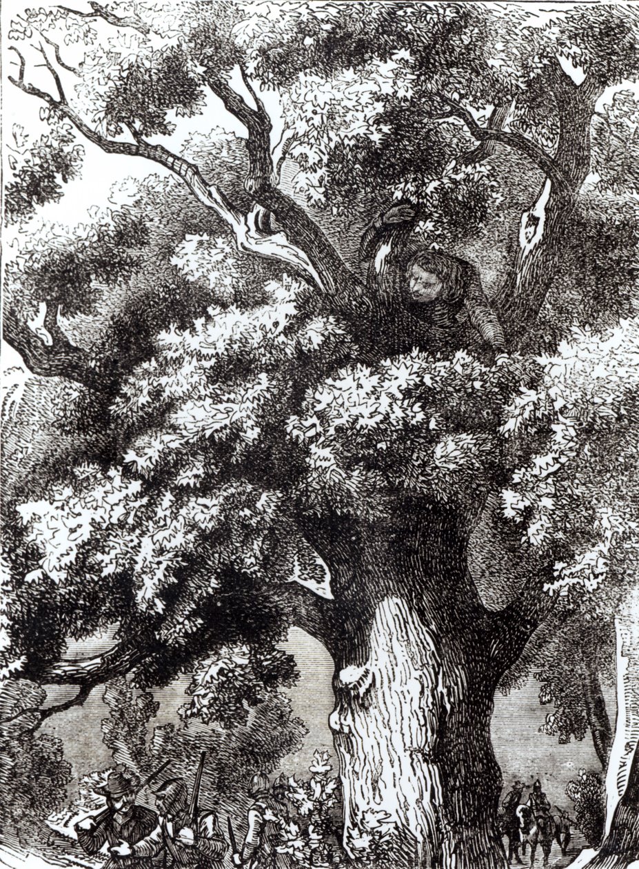 Charles II (1630-85) Meşe Ağacında Gizli, 14 Ekim 1651 by English School