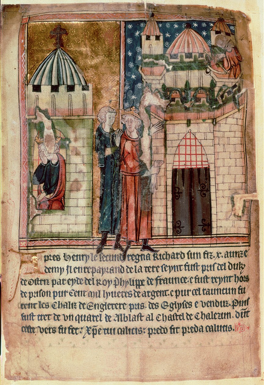Cott Vitt A XIII f.5 