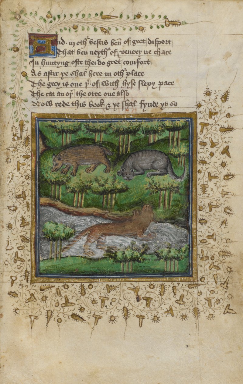 Cotton Vespasian B. XII, f.4 Porsuk, yaban kedisi ve su samuru çizimi; William Twety ve John Gyfford