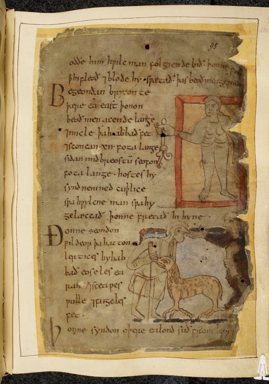 Cotton Vitellius A. XV, f.102, Bir bitki tutan çıplak bir adam; iki adam konuşuyor ve aralarında bir lertix, koyun benzeri bir canavar, Beowulf