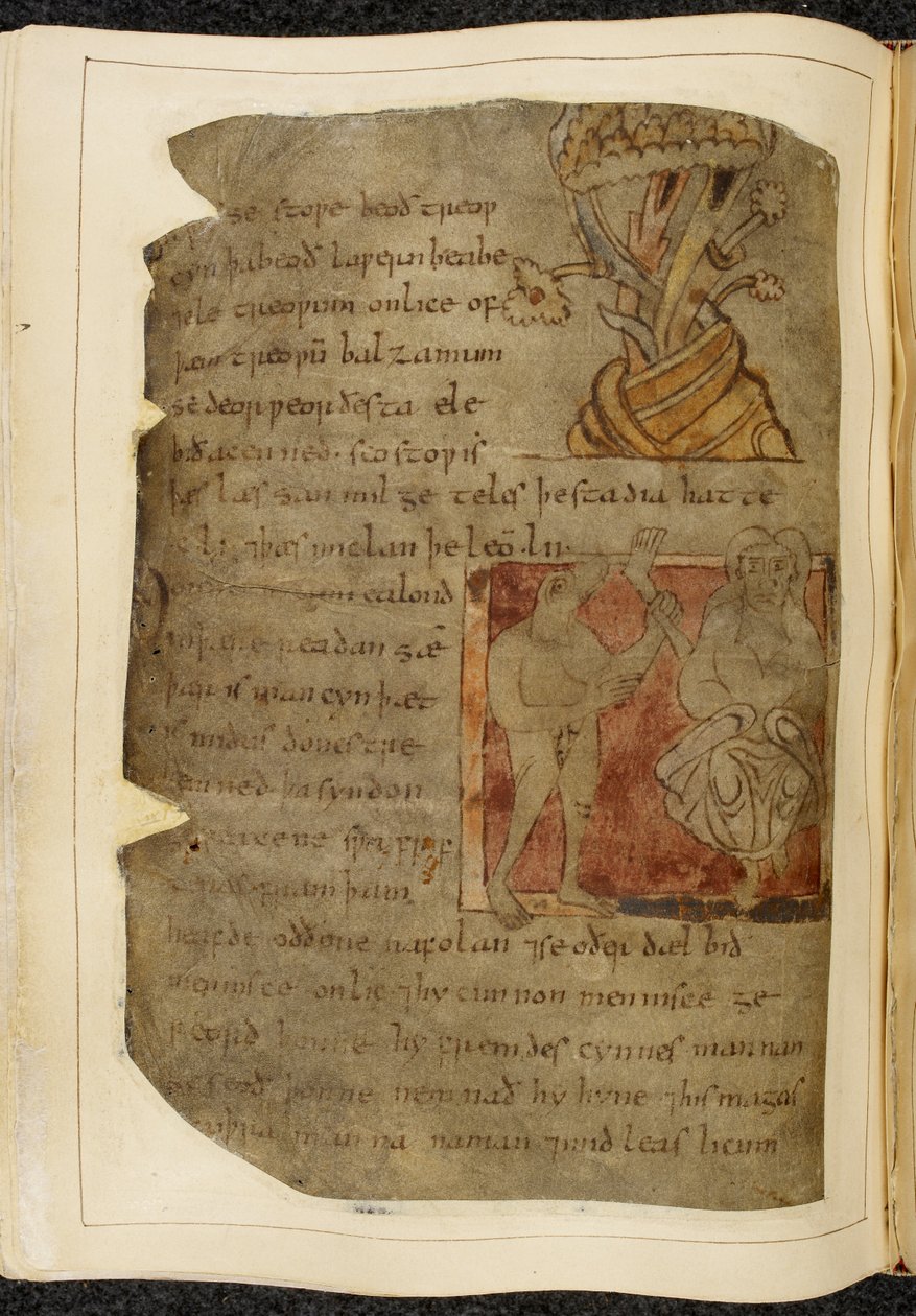 Cotton Vitellius A. XV f.103v, Balsamın yetiştiği bir ağaç; bir donestre, canavar başlı bir adam, solda bir insan bacağı ve ayağı tutan bir adam ve sağda bir kişi, Beowulf