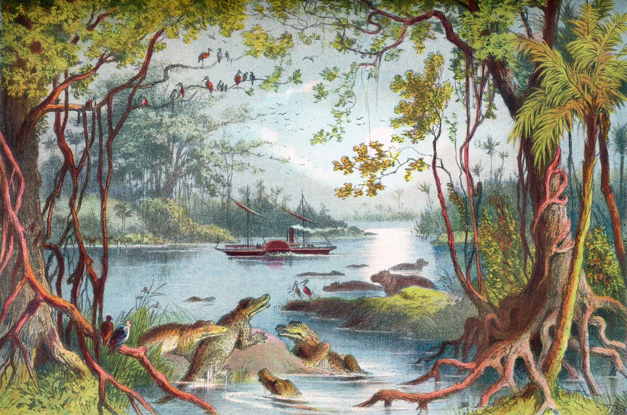 David Livingstone'un gemisi Ma-Robert, 19. yüzyılda Zambezi Seferi sırasında Afrika'nın Zambezi Nehri üzerinde. The Life and Explorations of Dr. Livingstone'dan c.1875 yayınlandı. by English School