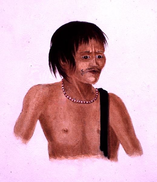 Demerara (kağıt üzerine sulu boya) by English School